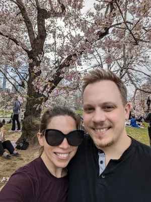 Cherry Tree Blossoms. Central Park, NYC, 2024.